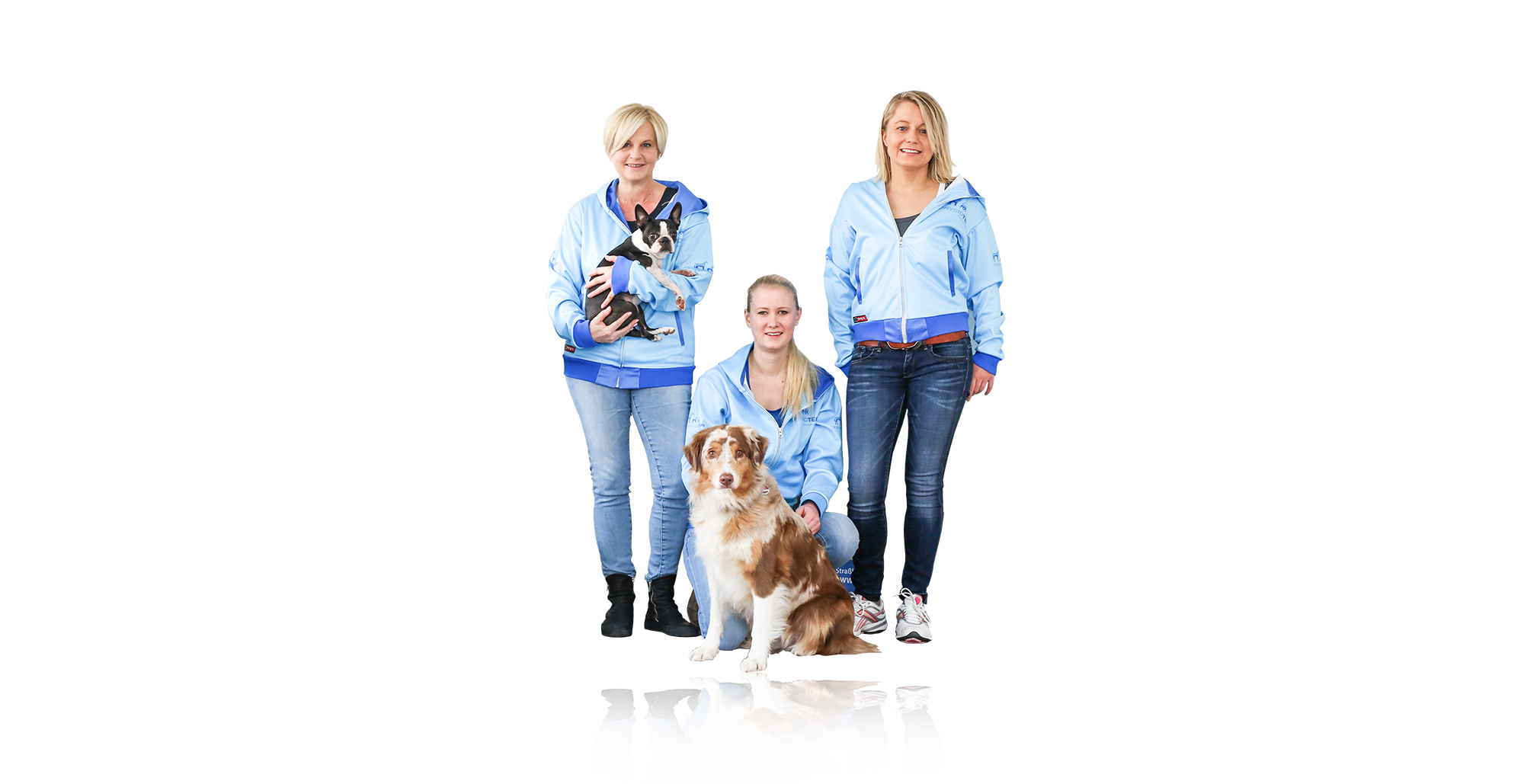 Das Tierphysioteam Das Tierphysioteam